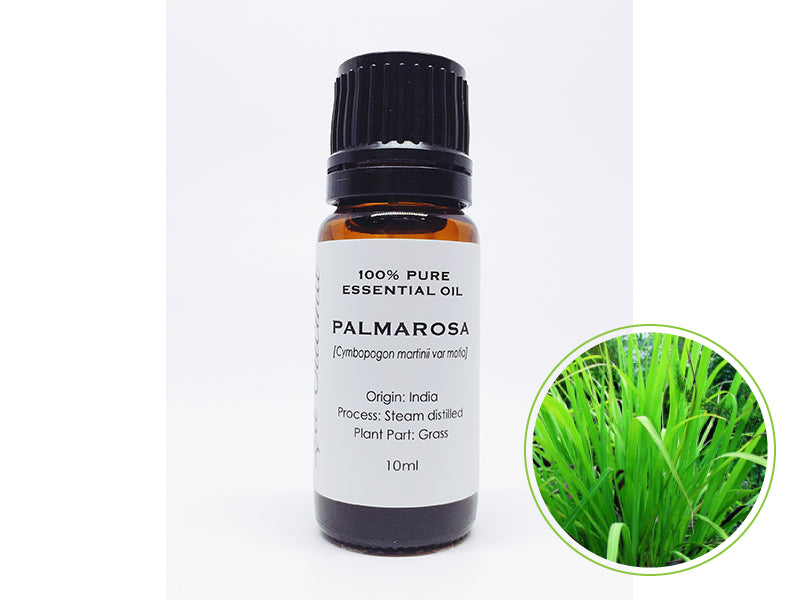 パルマローザ 10mL|クラスB