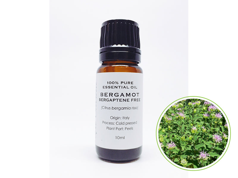ベルガモット(ベルガプテンフリー)10mL|クラスC