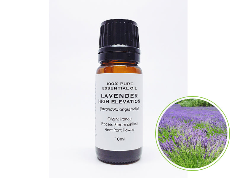 ラベンダーハイエレベーション 10mL|クラスE