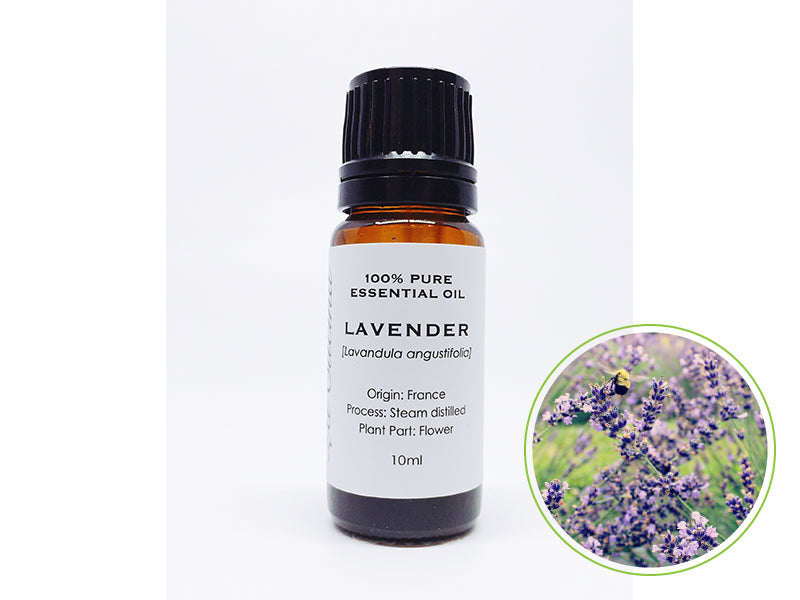 ラベンダー 10mL|クラスB