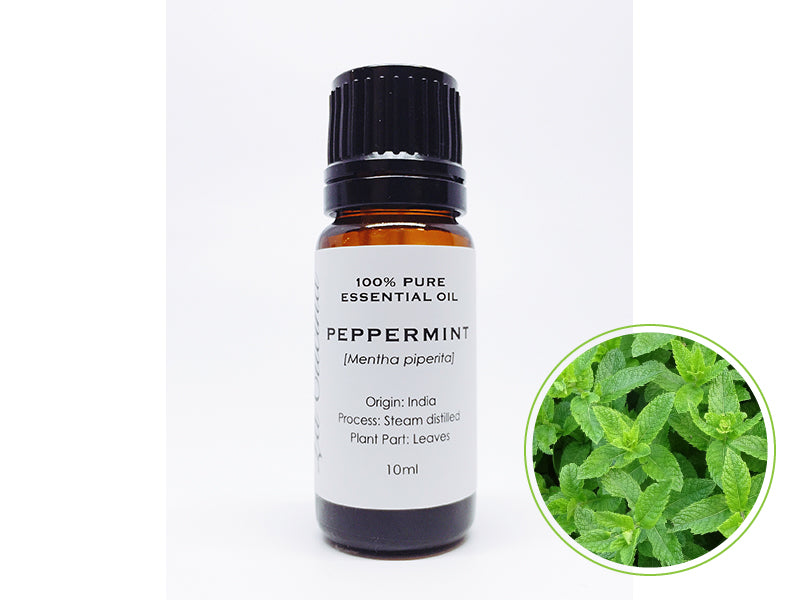 ペパーミント 10mL|クラスB