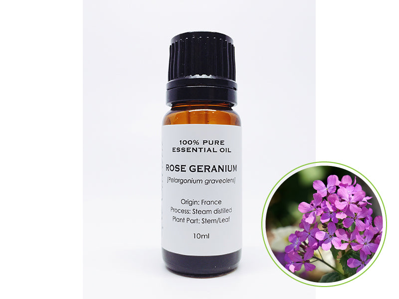 ローズゼラニウム 10mL|クラスD