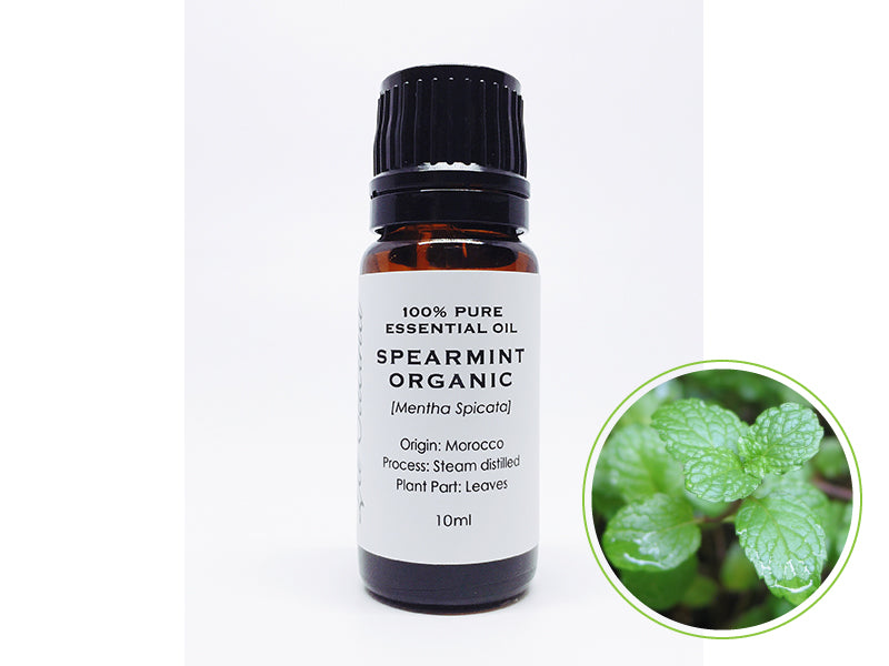 スペアミント 10mL|クラスF