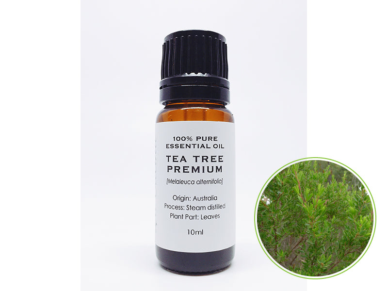 ティーツリー プレミアム 10mL|クラスB