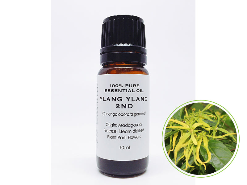 イランイラン セカンド 10mL|クラスC